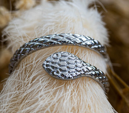 ✨ Ring „Silver Serpent Spirit“ – Edelstahl in Silber ✨