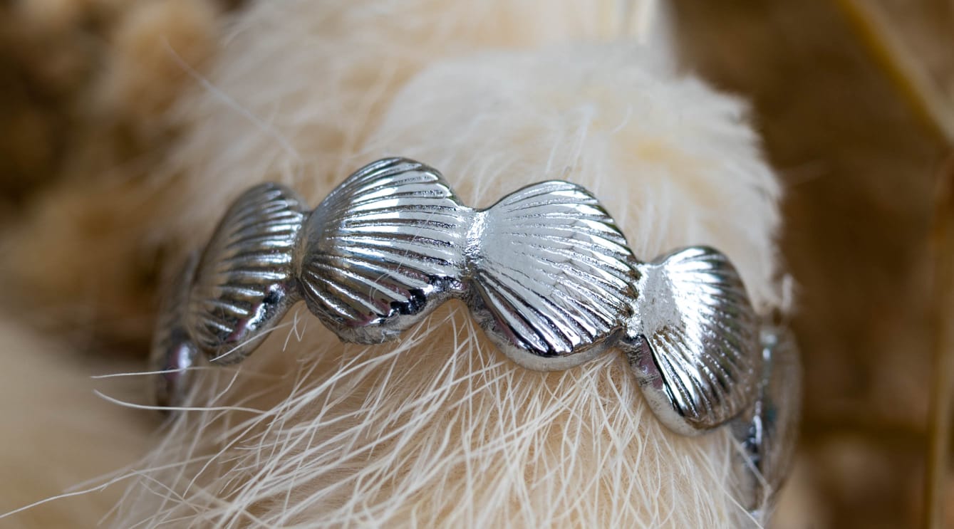 ✨ Ring „Silver Shell Vibes“ – Edelstahl in Silber ✨